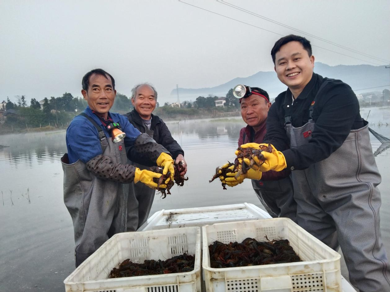 九江银行驻村第一书记朱龙（左一）与农户一起收获小龙虾