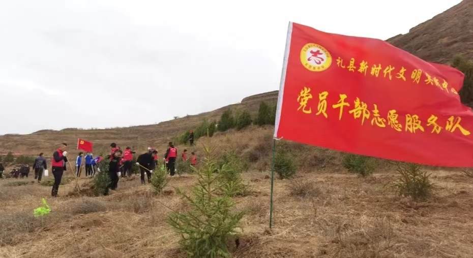 甘肃礼县百支“志愿红”绽放“疫”线