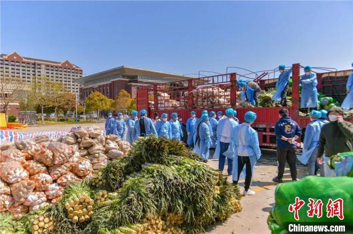 江西乐平捐赠蔬菜顺利进入上海市区。　民盟上海市委供图