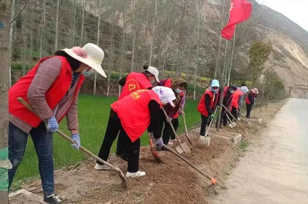 甘肃礼县百支“志愿红”绽放“疫”线
