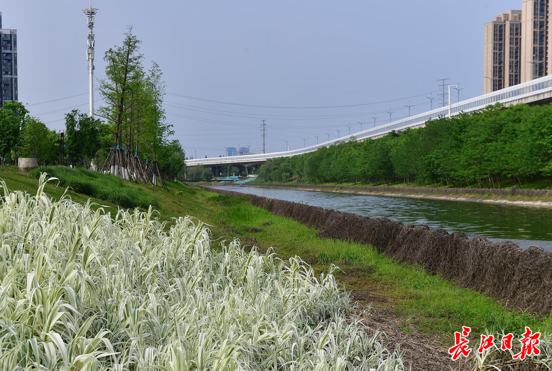 水滨花园图片