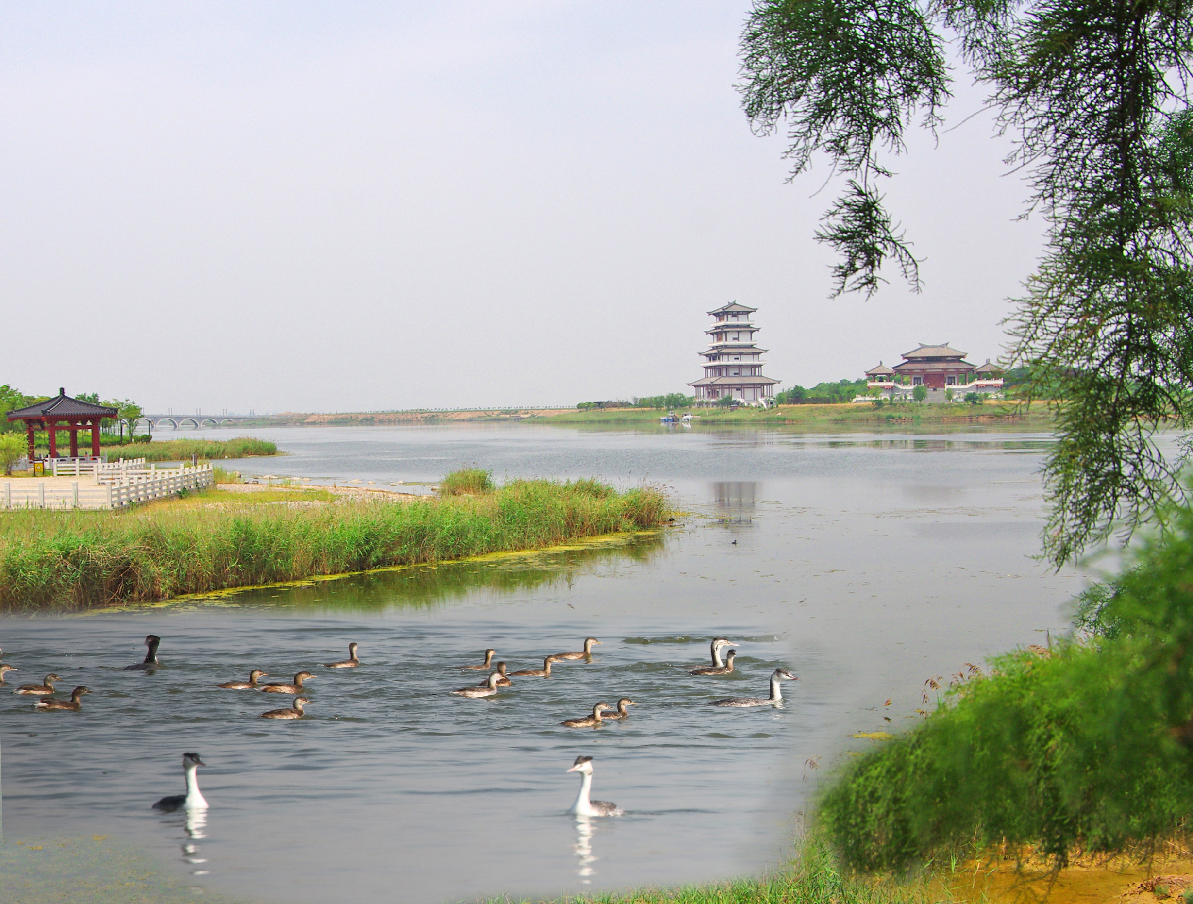 渭南湿地公园图片