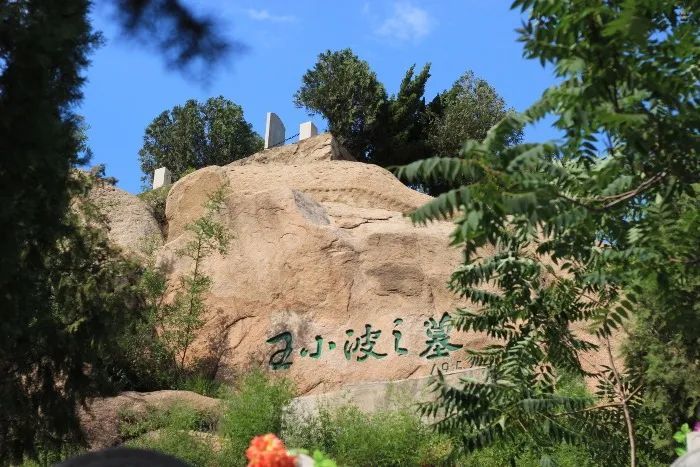 王小波位于昌平佛山陵园的墓地