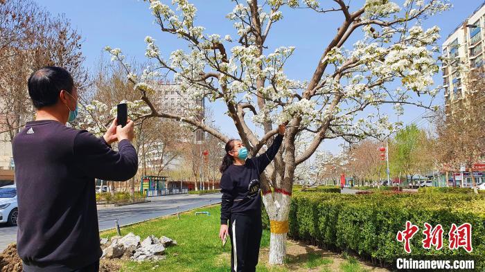 “春赏梨花冬看天鹅”何以成新疆库尔勒市民的“家常便饭”？