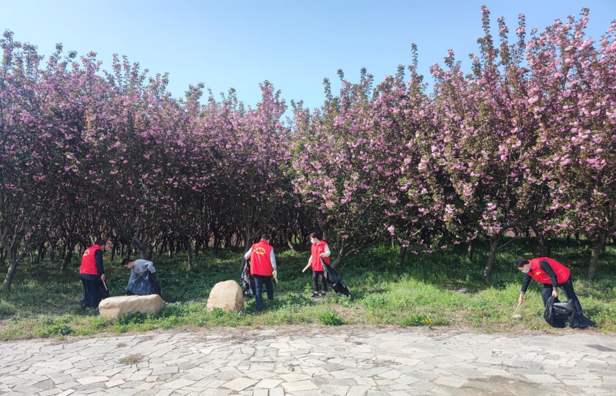 安徽省固镇县樱为有你春暖花开