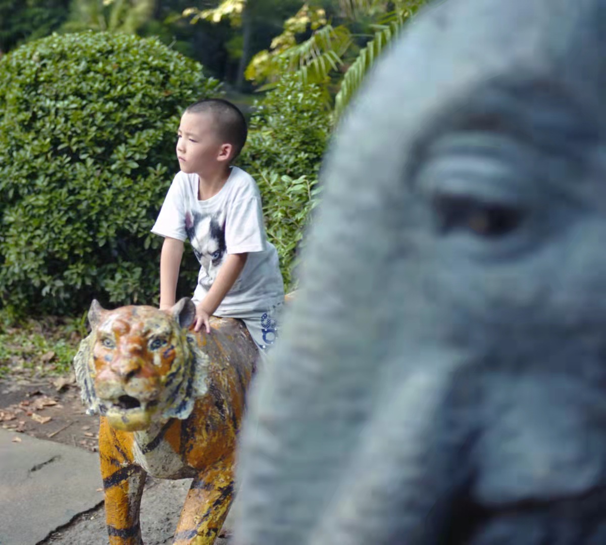 老虎来了!——WWF新加坡举办《虎之踪迹》展览参与2022地球一小时