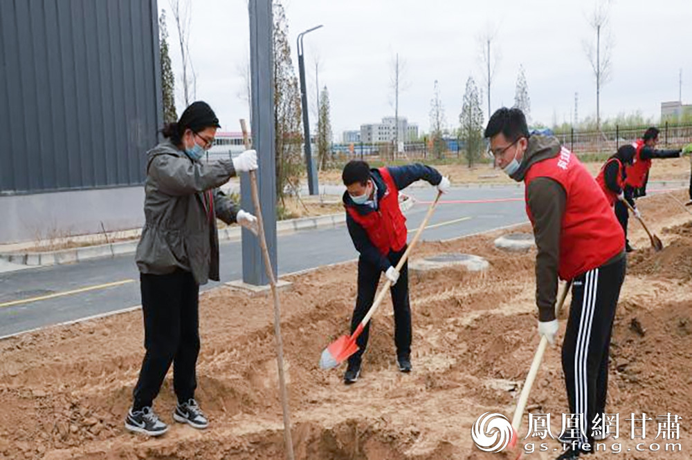 大家热情地投身种树活动 兰州新区科文旅集团供图