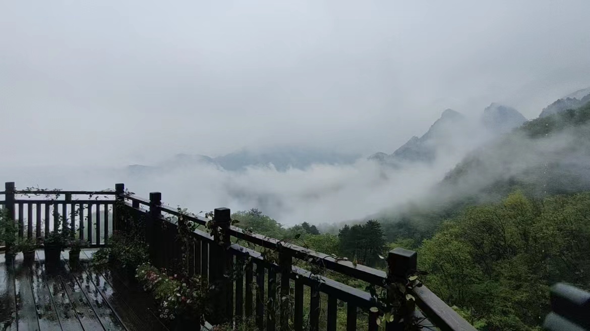 倒春寒来袭 十堰武当山四月飞雪刷屏朋友圈