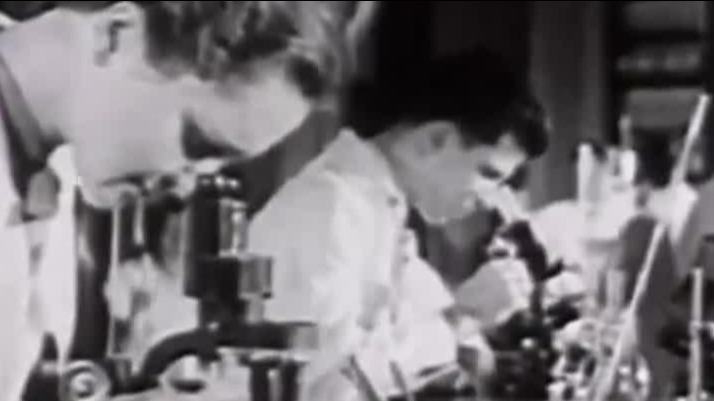 第一次世界大战令金本位制度土崩瓦解，三十年后，布雷顿森林体系诞生