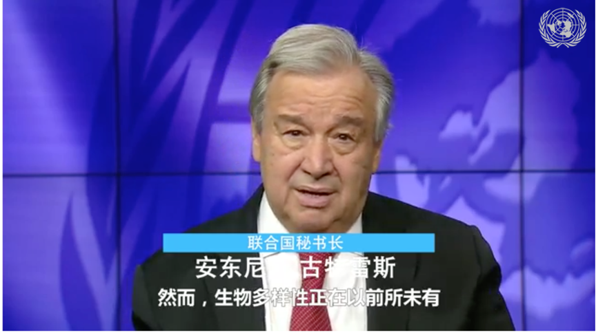 全球征集 | 这是一份来自“联合国生物多样性大会”的邀请函