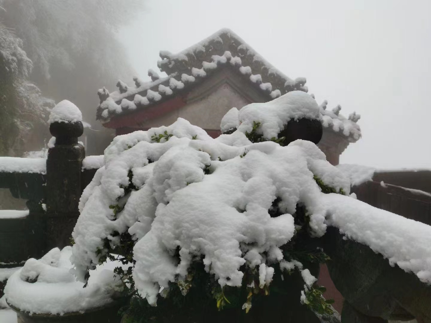 倒春寒来袭 十堰武当山四月飞雪刷屏朋友圈