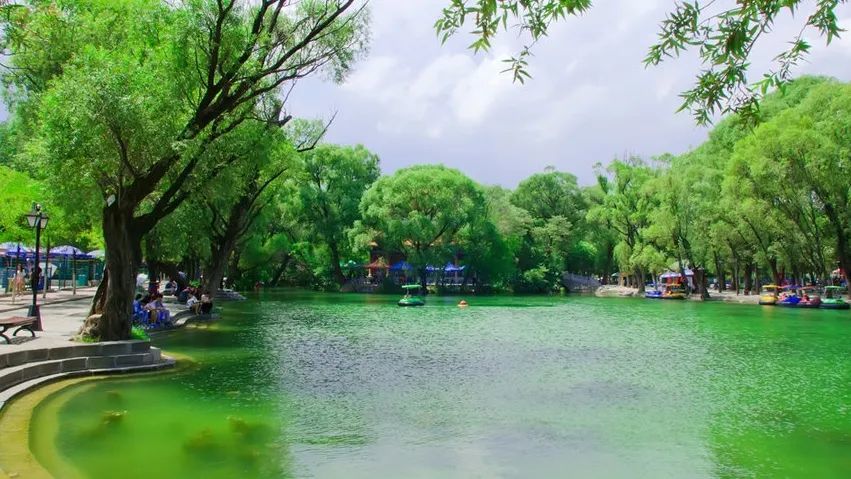 兴文重教广植绿荫……左宗棠平凉往事知多少?