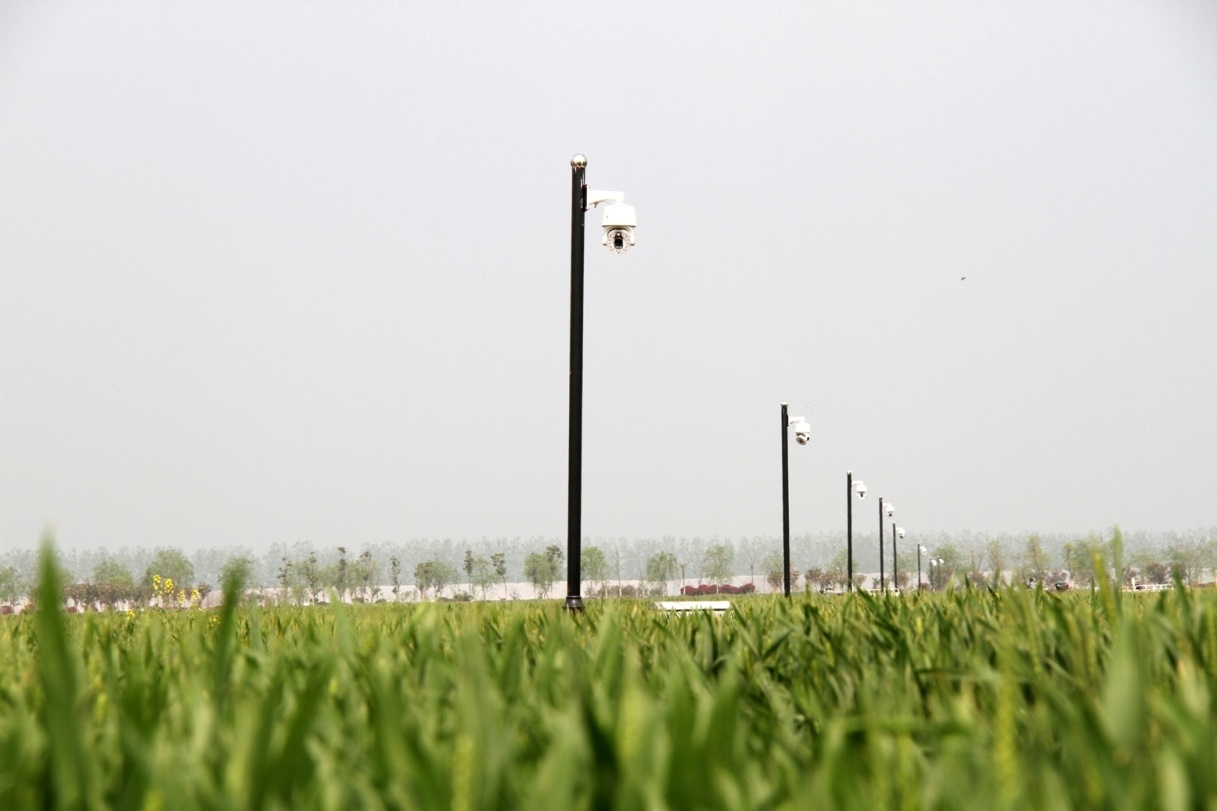 龙亢农场农业科技园里的138个物联网高清摄像头在实时监测试验田的