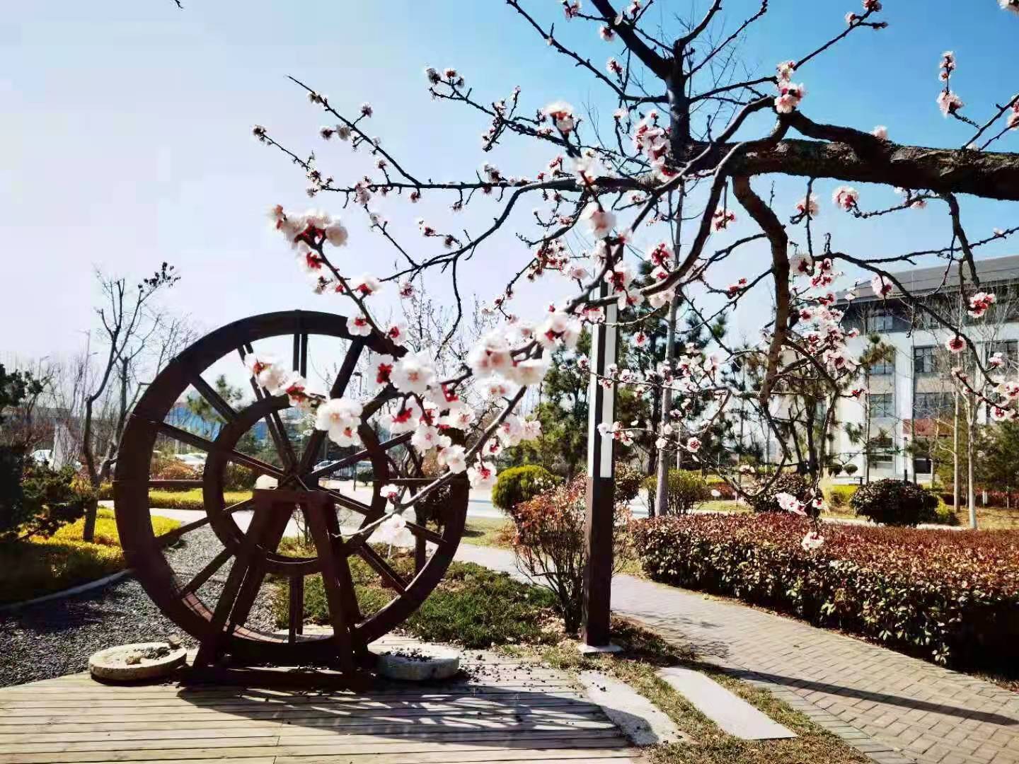 1个强基班，为学科特长保驾护航 6个卓越班，自招名额为市区最多 ——解读青岛实验高中2022年自主招生政策