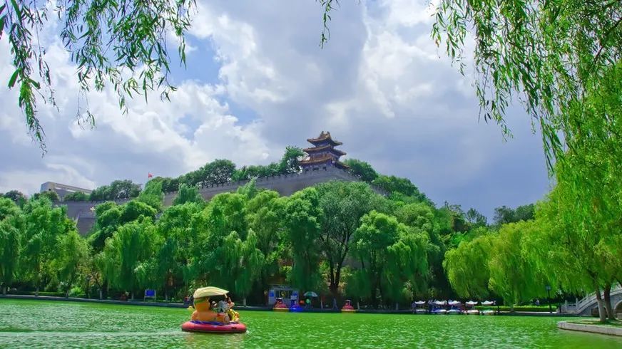 兴文重教广植绿荫……左宗棠平凉往事知多少?