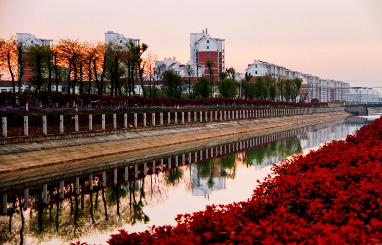 安徽农垦龙亢农场田园春意浓风景别样美