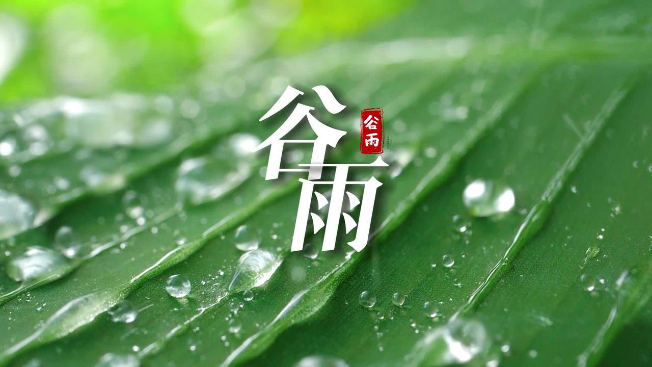 【二十四节气】暮春雨，万物生。谷雨，是春季的最后一个节气凤凰网视频凤凰网 8850