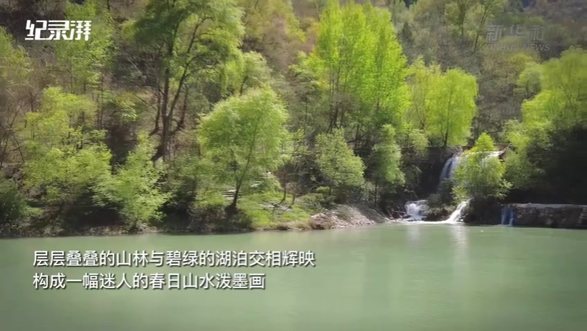 瞰见｜甘肃宕昌官鹅沟