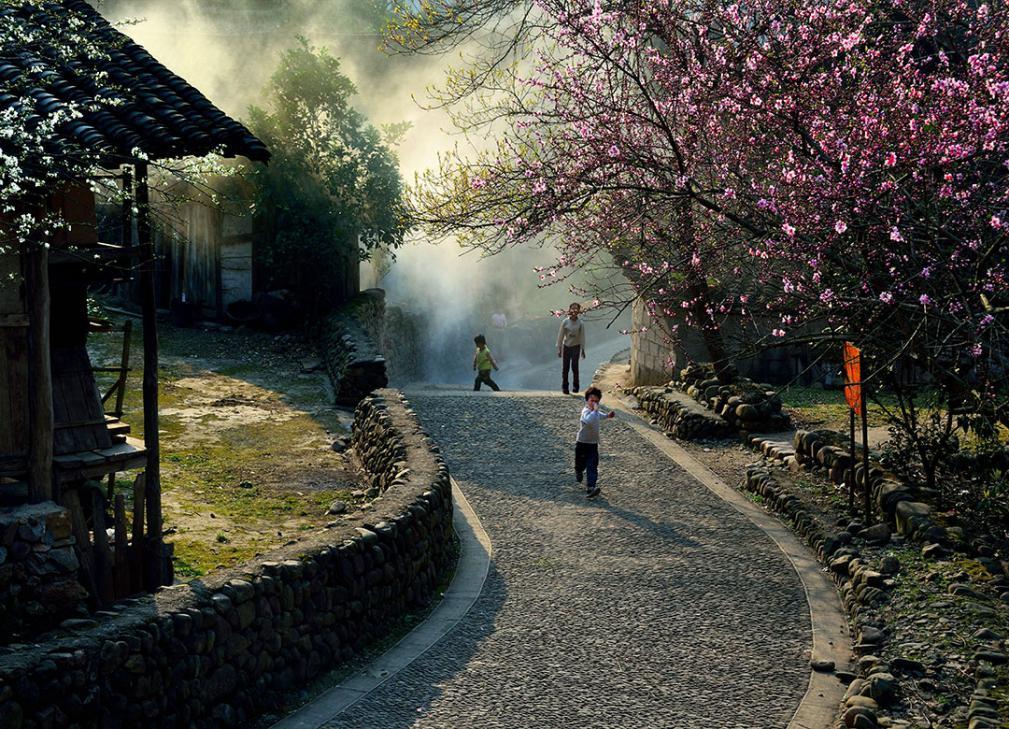 △桃花深处有驿道