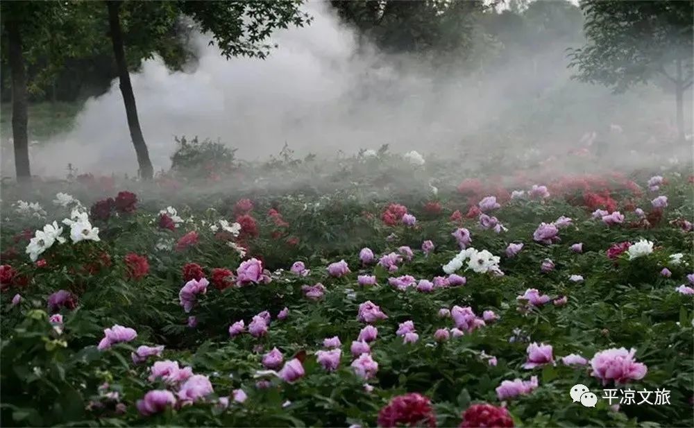 一生仕途不顺的李商隐，曾在平凉度过两年多美好时光