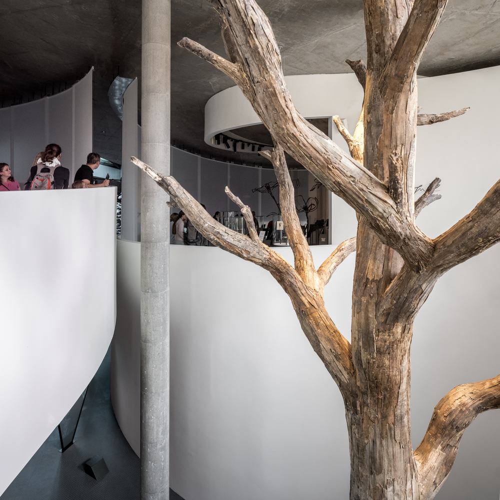 安徒生博物馆落成,圆了上亿人的童年梦!_凤凰网