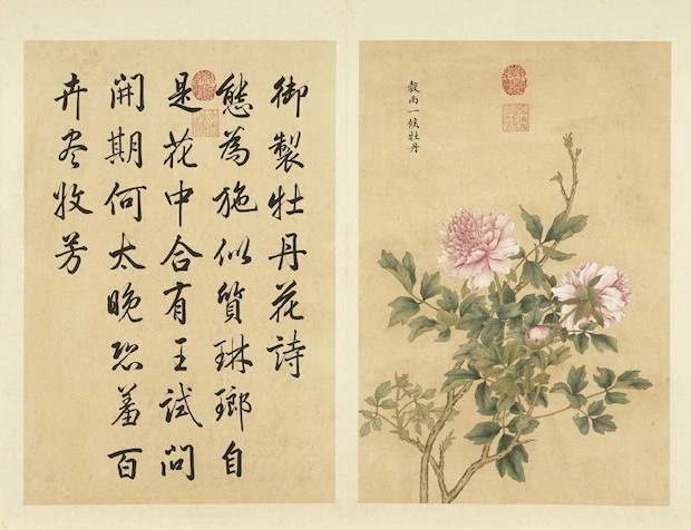 清 余省《谷雨一候牡丹》册