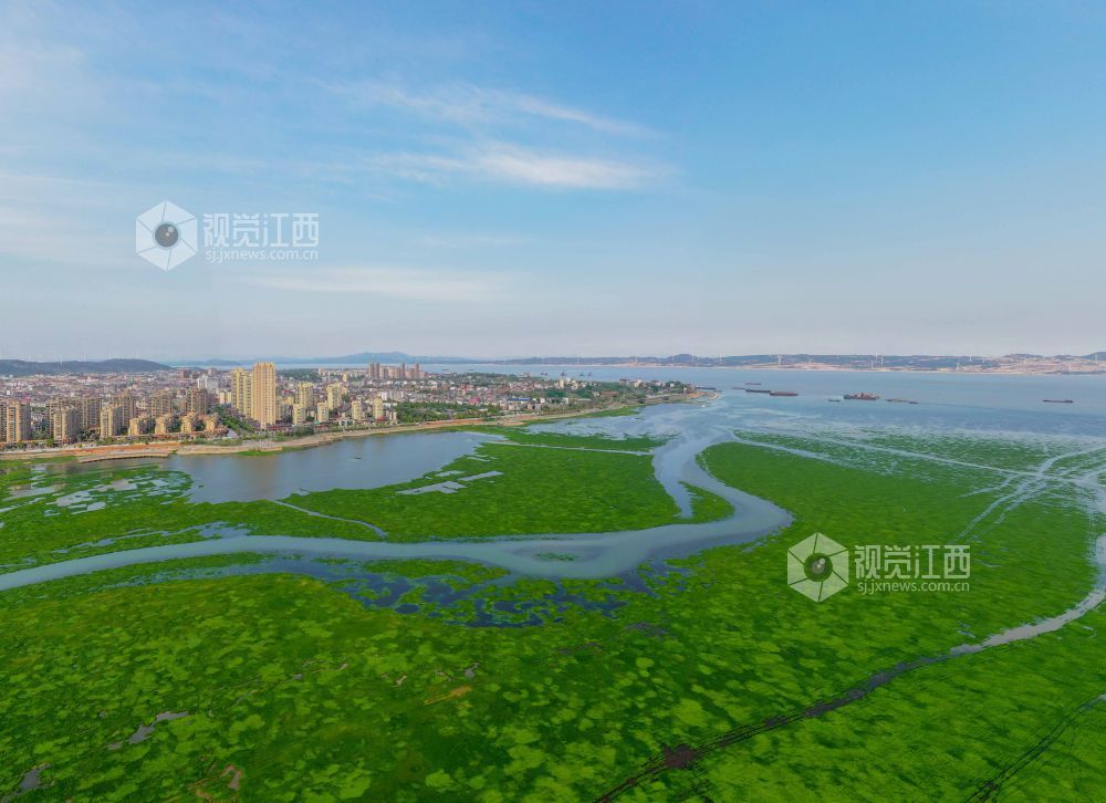 九江：鄱湖明珠（图）凤凰网江西_凤凰网