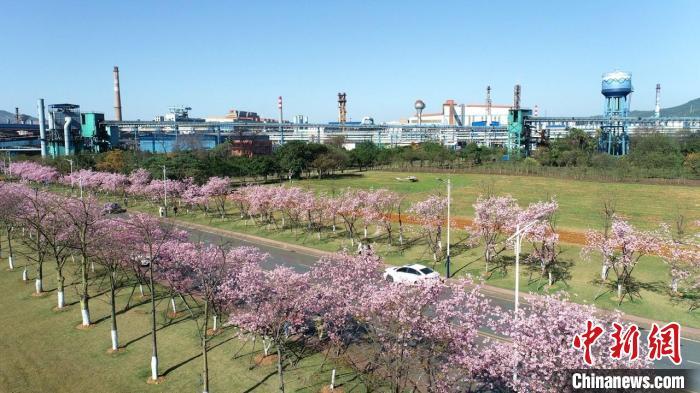 韶钢在“双变”带动下，企业环境及活力越来越好。 张伟 摄