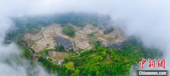 4月17日,江西省吉安市新干县麦斜镇上寨村云雾缭绕,景美如画.