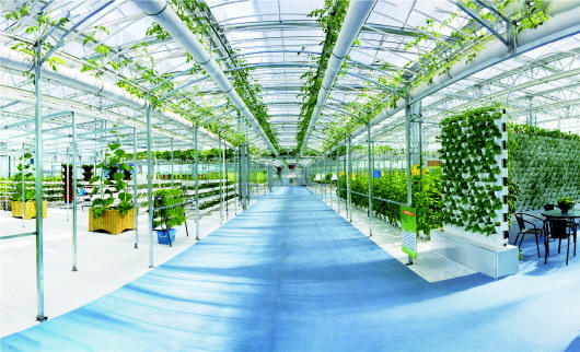 肃州区东洞戈壁生态农业园区温室大棚内景