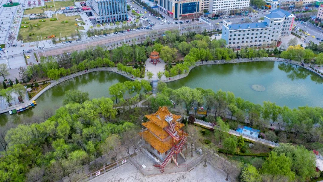 兴文重教广植绿荫……左宗棠平凉往事知多少?