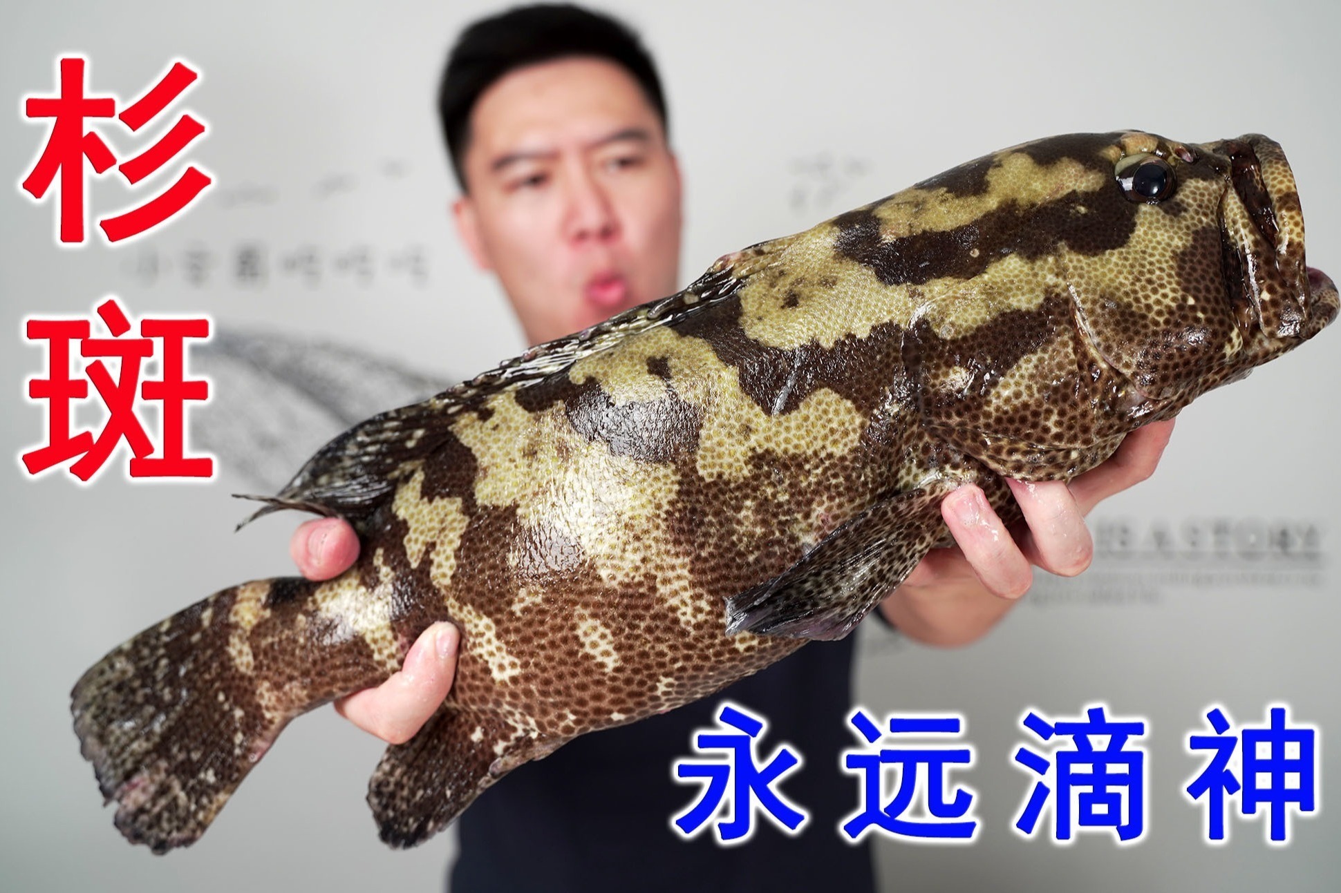 清水石斑鱼打边炉,千万别半夜看,我连汤都干光了_凤凰网视频_凤凰网