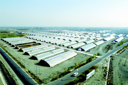总寨镇非耕地产业园高标准日光温室建设及无土栽培基质生产项目
