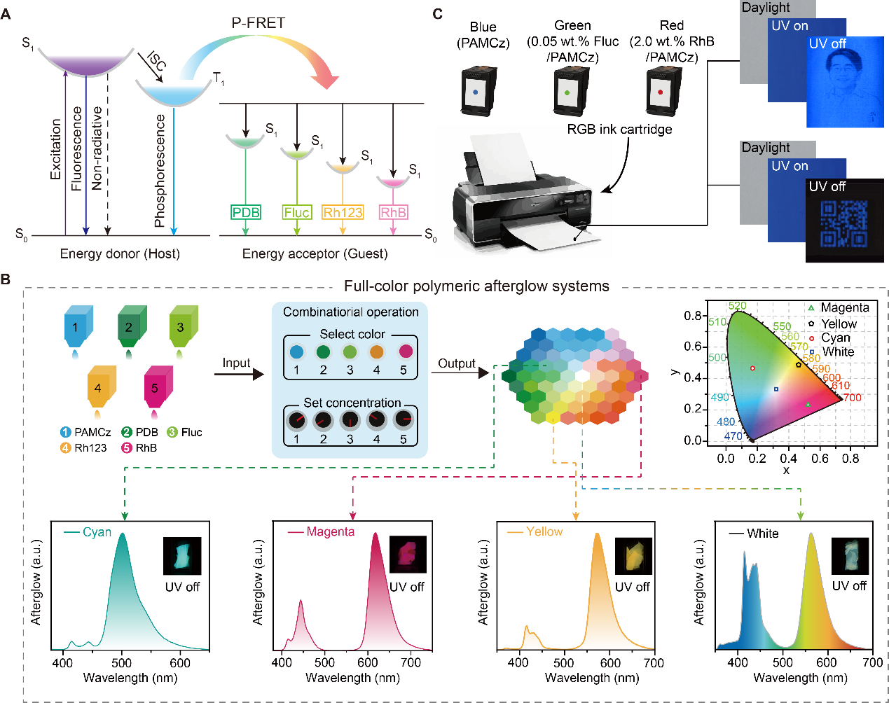 图1：（A）三线态-单线态磷光敏化能量传递策略示意图；（B）全彩有机长余辉材料的构建和（C）安全打印应用