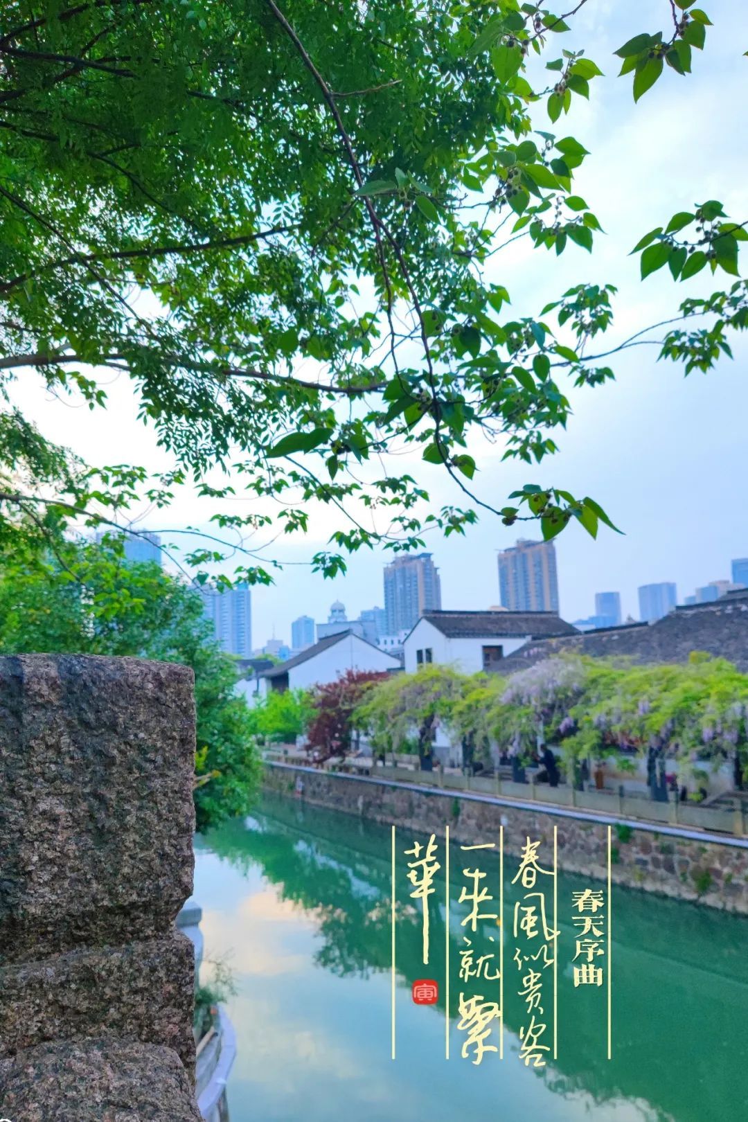 常州美景梦里桃源不负江南