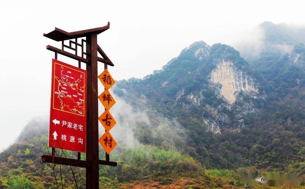 ▲嘉陵镇稻坪村