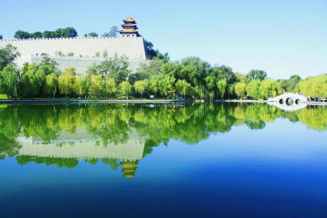 兴文重教广植绿荫……左宗棠平凉往事知多少?