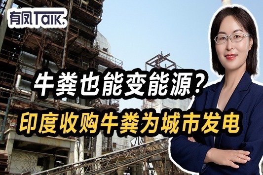 全球能源危机，印度找到突破口：大量收购牛粪用来发电