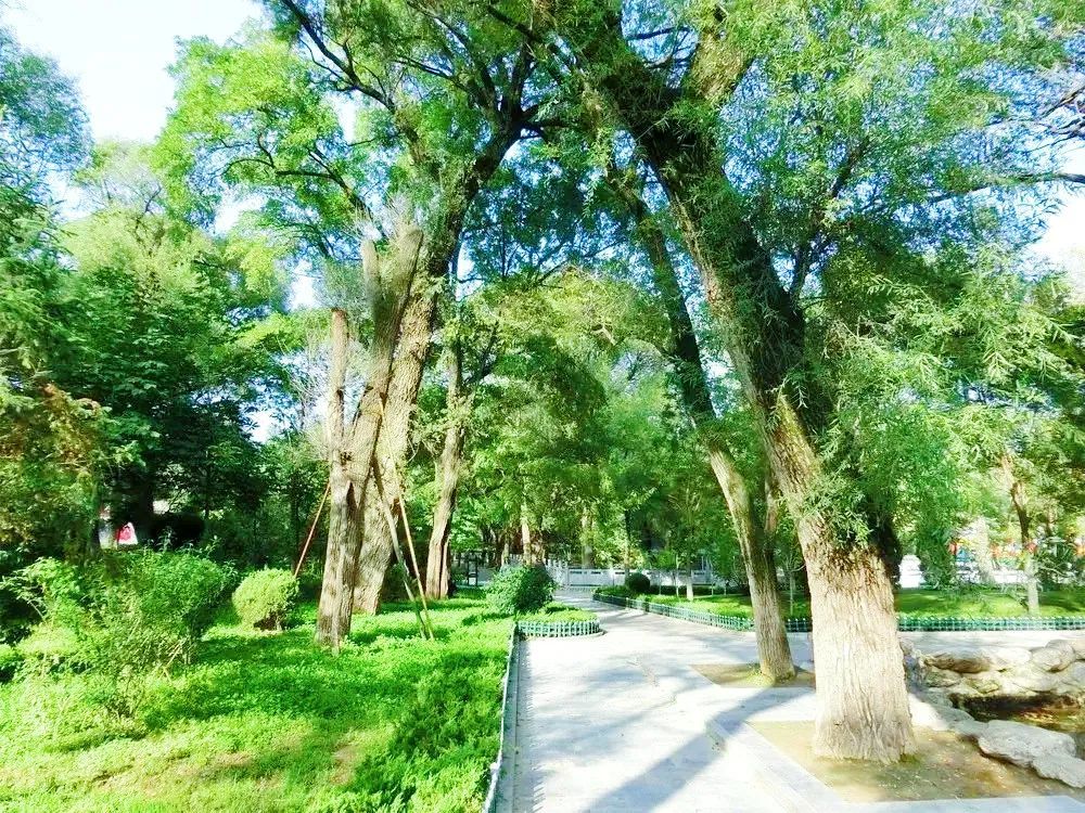 兴文重教广植绿荫……左宗棠平凉往事知多少?