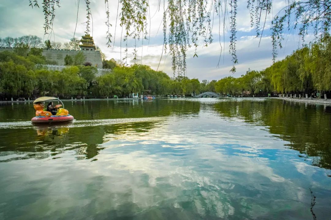 兴文重教广植绿荫……左宗棠平凉往事知多少?