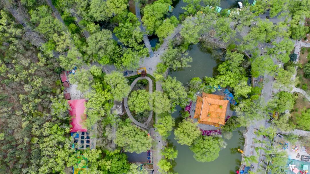 兴文重教广植绿荫……左宗棠平凉往事知多少?