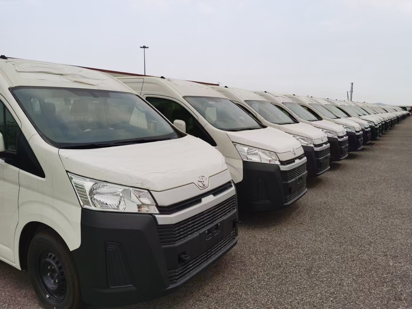 进口海狮面包车21款海狮价格图片