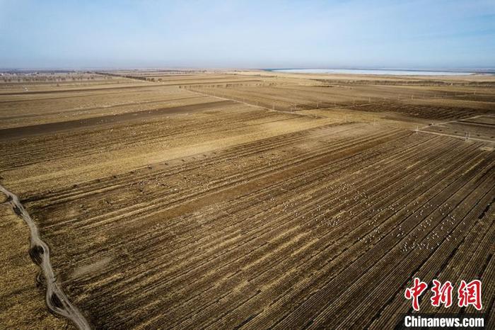 墒情好地温高农业大省吉林春耕迎利好