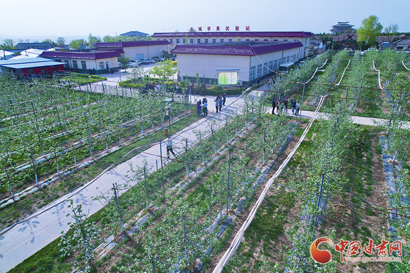 西北农林科技大学庆城苹果试验示范站（无人机照片）