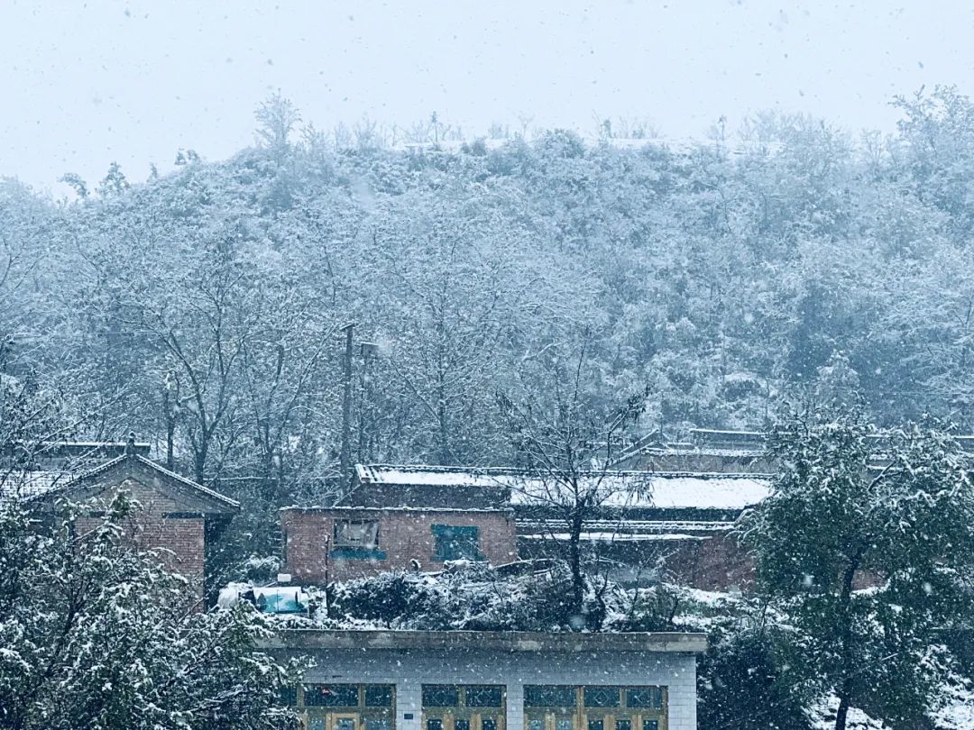 甘肃农村雪景图片图片