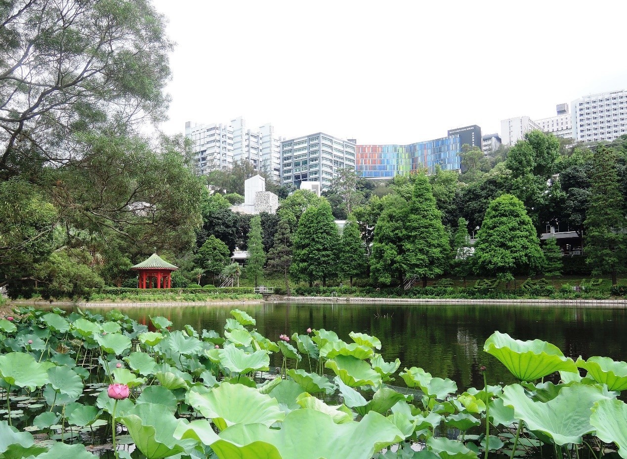香港中文大学:2022年新推4个跨专业课程 计划招生300人 特色书院制 注重学生全面发展