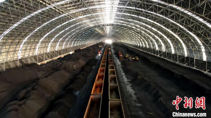 图为装运现场。　贺鹏 摄