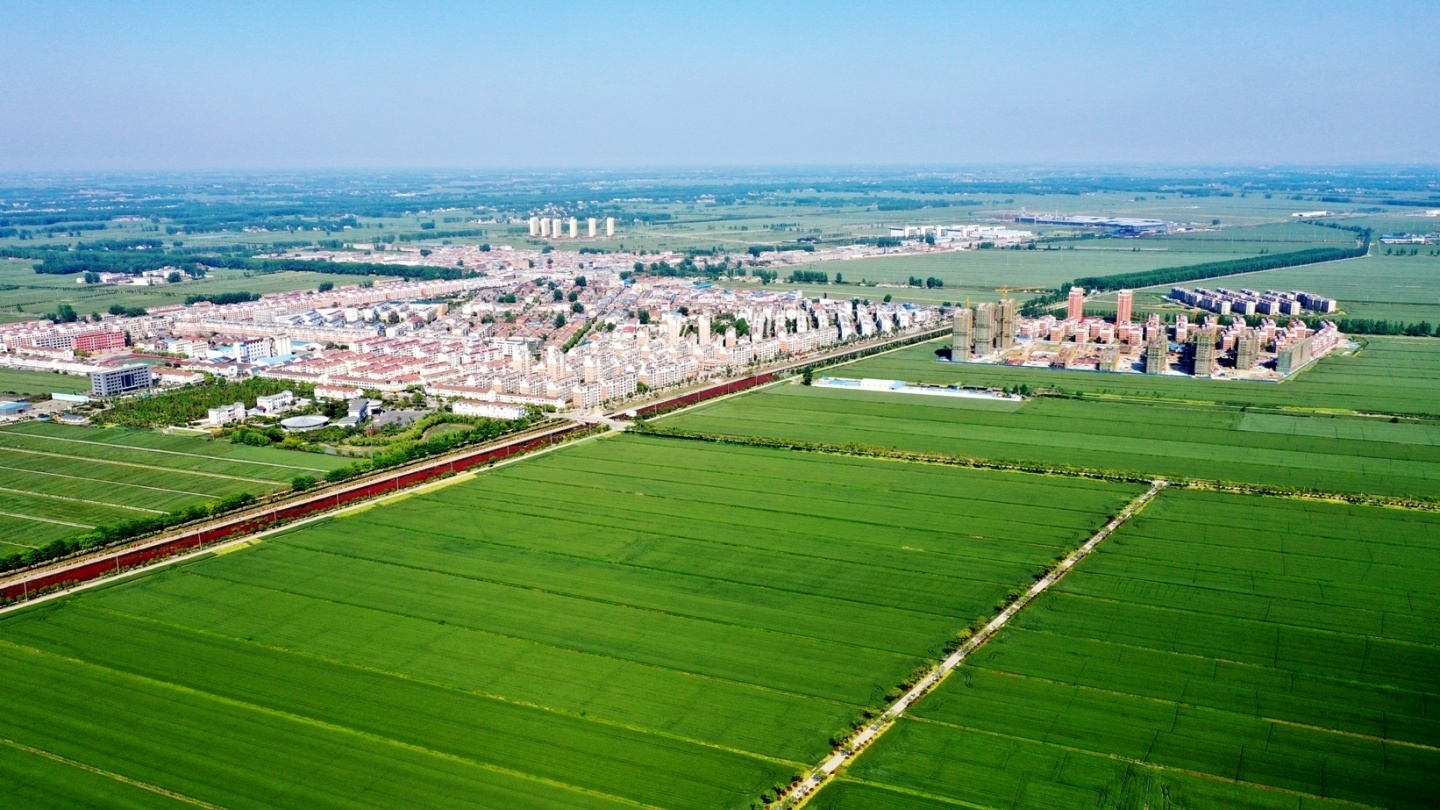 安徽农垦龙亢农场田园春意浓风景别样美