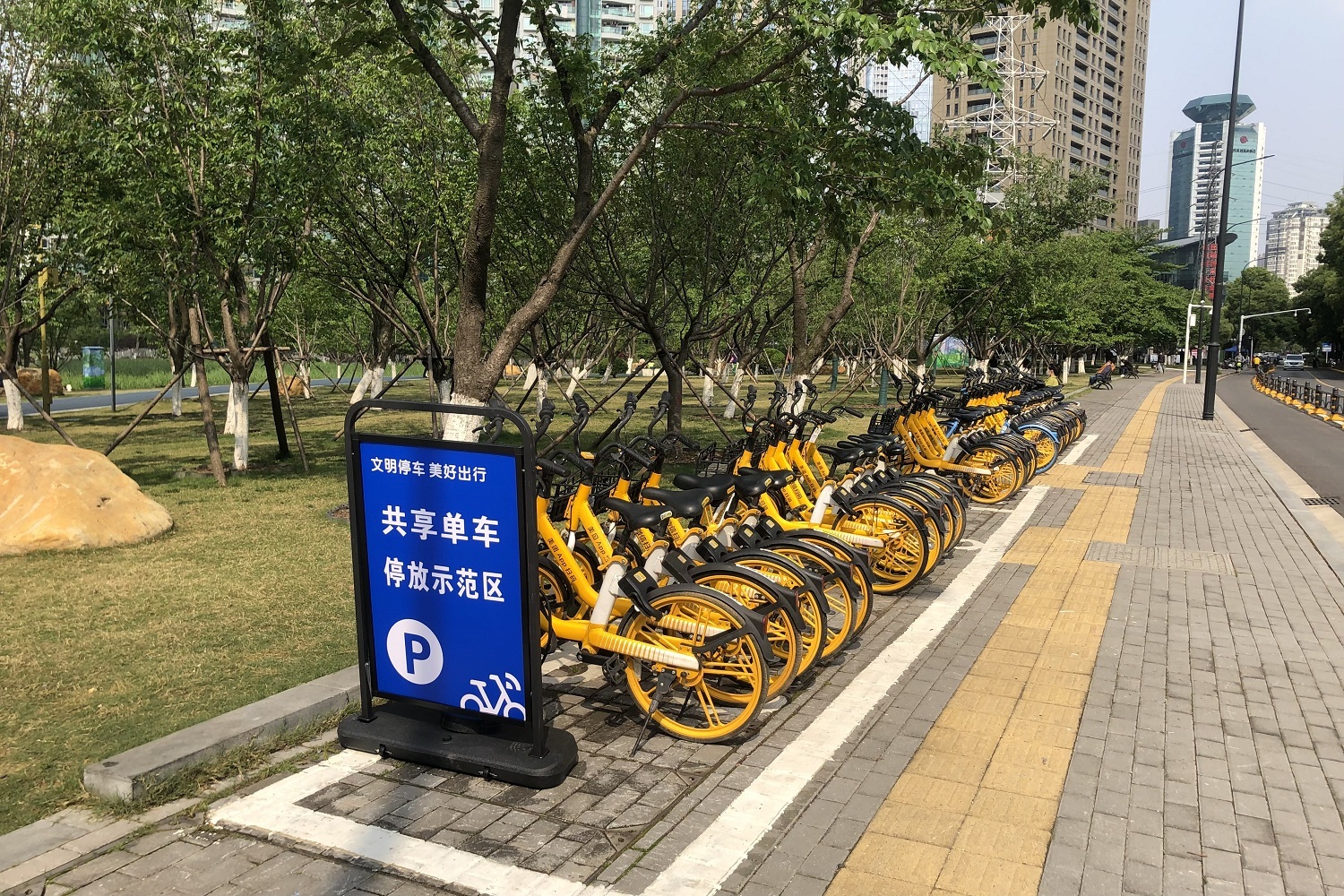 文明停放、严格管理  武汉“三区一联动”提升城市共享单车管理水平