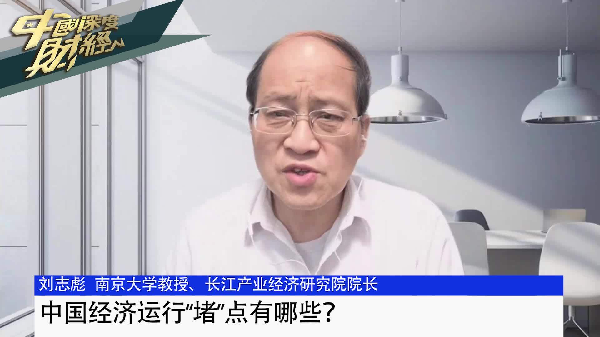 南京大学教授刘志彪：中国经济运行“堵”点有哪些？